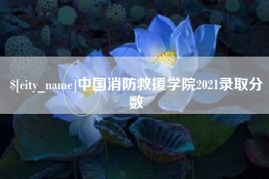 广安中国消防救援学院2021录取分数