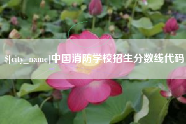 广安中国消防学校招生分数线代码