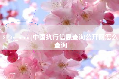 广安中国执行信息查询公开网怎么查询