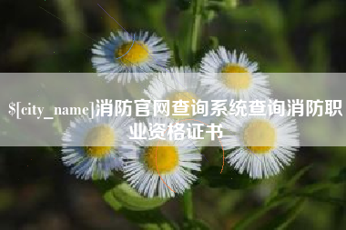 广安消防官网查询系统查询消防职业资格证书