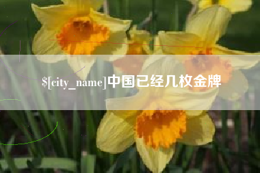 广安中国已经几枚金牌