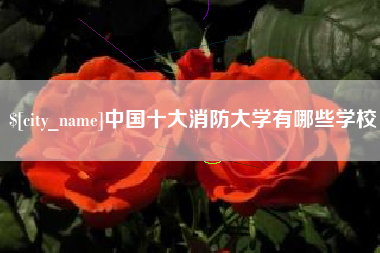 广安中国十大消防大学有哪些学校