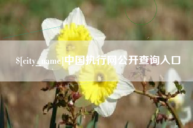 广安中国执行网公开查询入口
