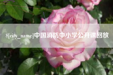 广安中国消防中小学公开课回放