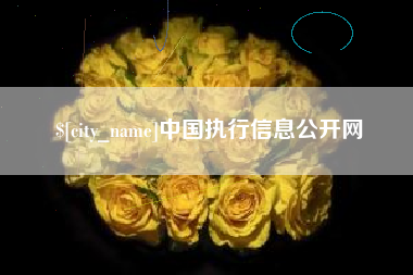 广安中国执行信息公开网