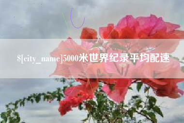 广安5000米世界纪录平均配速