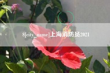 广安上海消防员2021