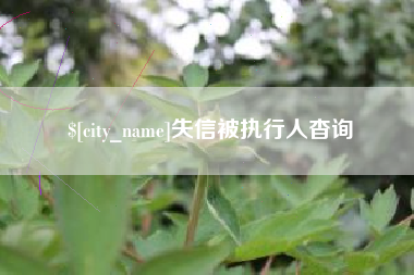 广安失信被执行人杳询