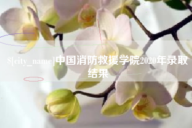 广安中国消防救援学院2020年录取结果