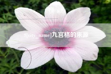 广安九宫格的来源
