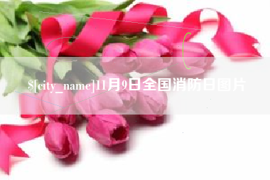 广安11月9日全国消防日图片