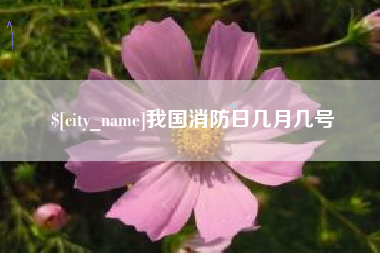 广安我国消防日几月几号