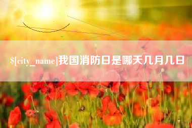 广安我国消防日是哪天几月几日