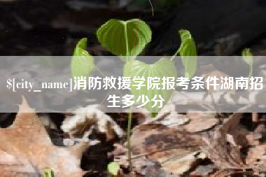 广安消防救援学院报考条件湖南招生多少分
