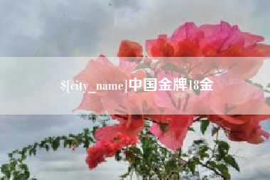 广安中国金牌18金