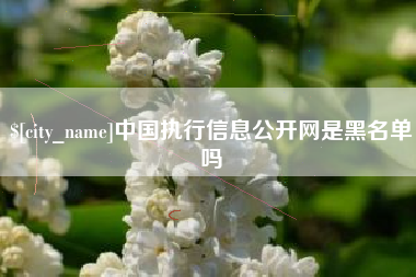广安中国执行信息公开网是黑名单吗