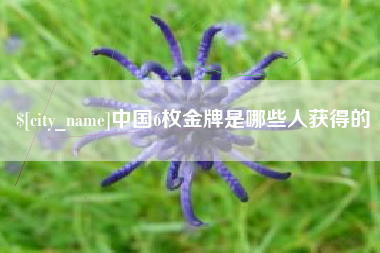 广安中国6枚金牌是哪些人获得的