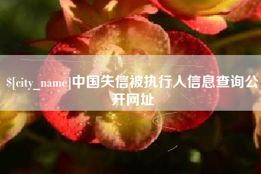 广安中国失信被执行人信息查询公开网址