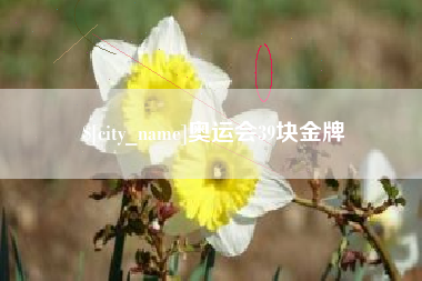 广安奥运会39块金牌