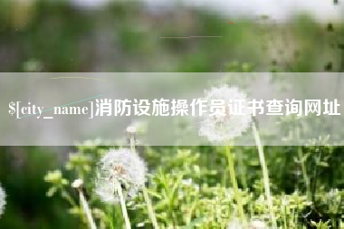广安消防设施操作员证书查询网址