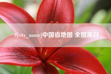 广安中国省地图 全图黑白