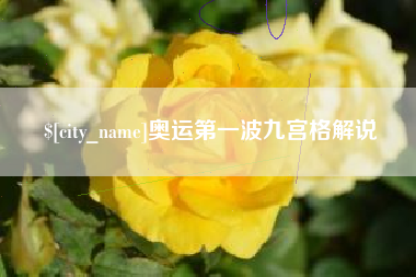 广安奥运第一波九宫格解说