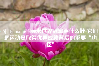 广安5000米世界冠军穿什么鞋-它们是运动员取得优异成绩背后的重要“功臣”