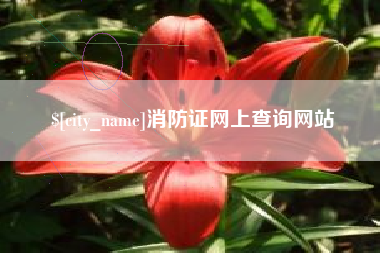 广安消防证网上查询网站