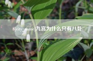 广安九宫为什么只有八卦