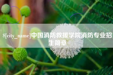 广安中国消防救援学院消防专业招生简章