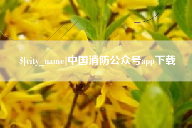 广安中国消防公众号app下载