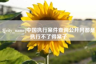 广安中国执行案件查询公开网都是执行不了得案子