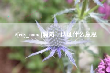 广安消防ccc认证什么意思