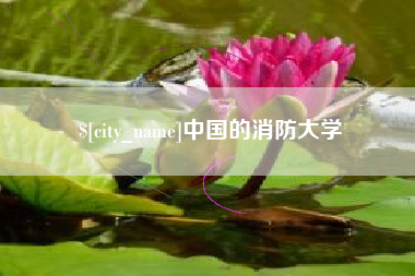 广安中国的消防大学