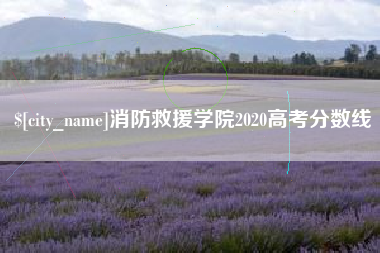 广安消防救援学院2020高考分数线