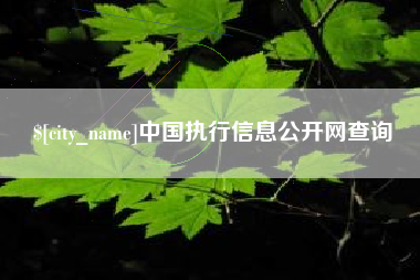 广安中国执行信息公开网查询