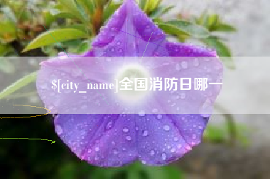 广安全国消防日哪一