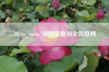广安消防证查询全国联网