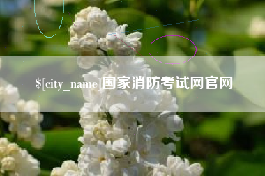 广安国家消防考试网官网