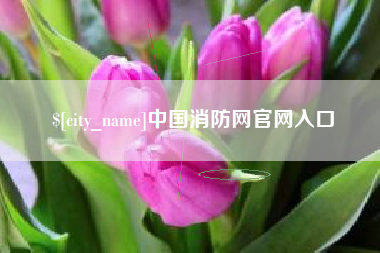 广安中国消防网官网入口