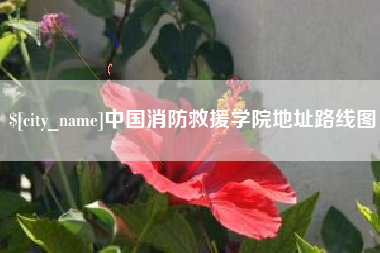 广安中国消防救援学院地址路线图