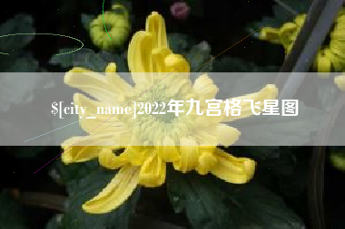 广安2022年九宫格飞星图