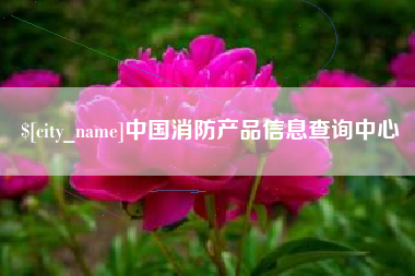 广安中国消防产品信息查询中心