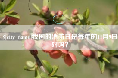 广安我国的消防日是每年的11月9日对吗？
