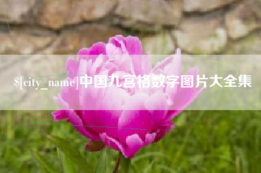 广安中国九宫格数字图片大全集