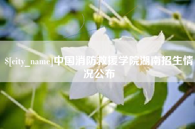 广安中国消防救援学院湖南招生情况公布