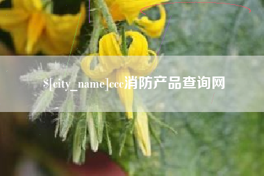 广安ccc消防产品查询网