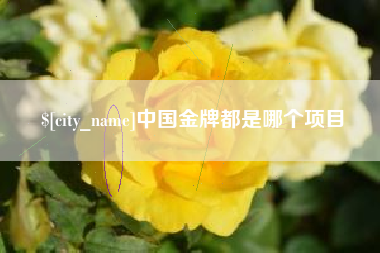 广安中国金牌都是哪个项目