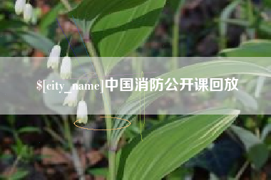 广安中国消防公开课回放