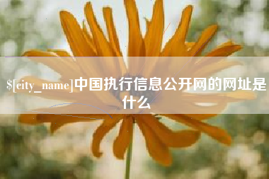 广安中国执行信息公开网的网址是什么